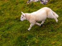 Isle of Skye, Neist Point